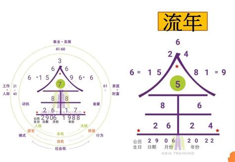 5號人配對|生命靈數是什麼？準嗎？教你計算1